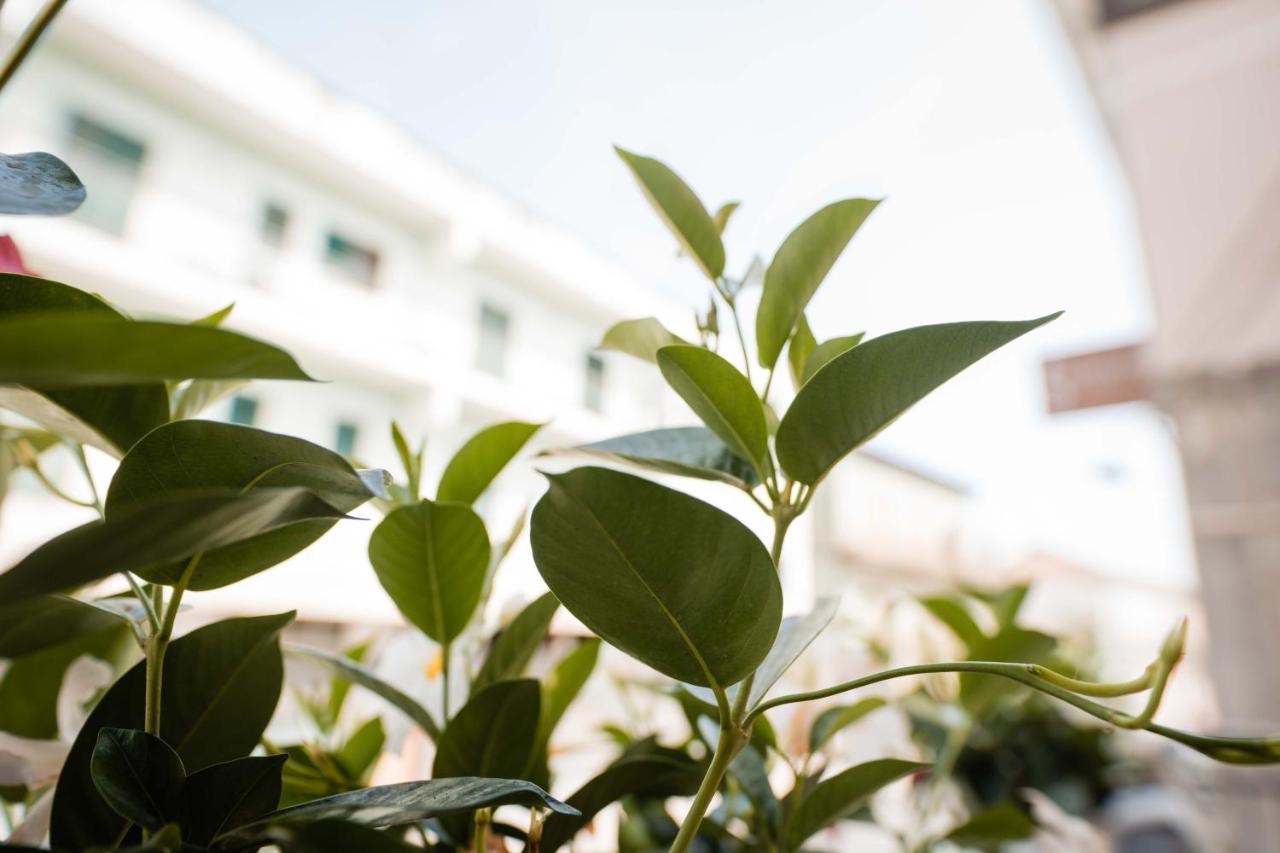 B&B Dell'Infopoint-La Via Silente Castelnuovo Cilento Ngoại thất bức ảnh